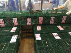 -荔城生鲜盛宴(番禺旗舰店)