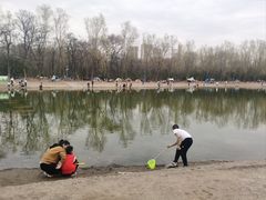 -森林公园(尖草坪区)