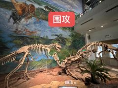 -自贡恐龙博物馆