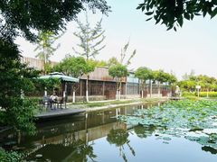 -洪湖家庭农场·团建·露营·会议