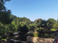 -宜春明月山维景国际温泉度假酒店