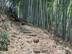 -溪口商量岗景区