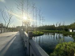 -溱湖国家湿地公园