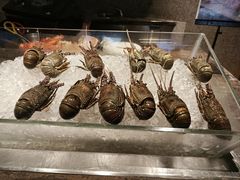 -龙城咖啡厅(常州富都洲际店)