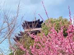 -杭州半山国家森林公园