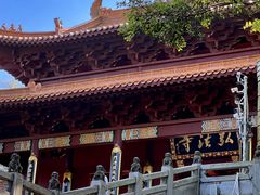 -深圳仙湖植物园