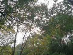 -三江森林温泉度假区