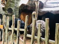 -长鹿旅游休博园