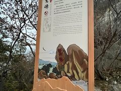 -北京鹫峰国家森林公园