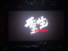 -华隶影城CINITY120帧(华创店)