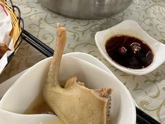 -百利鸽王(紫薇路店)
