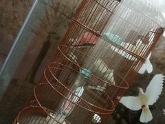 -天津华夏鞋文化博物馆