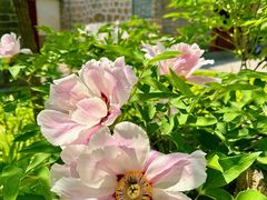 -云峰山自然风景区