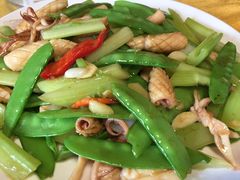 芹菜兰豆炒干鱿-欢乐时光家常菜(大石店)