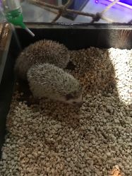 -未来动物城动物主题公园(大悦城店)