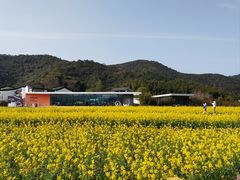 -东钱湖旅游度假区