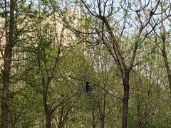 -山东师范大学(千佛山校区)