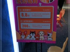 -龟与熊猫宠物公园(南坪店)