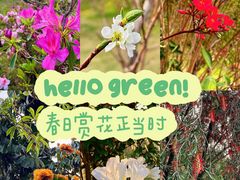 -广东花都湖国家湿地公园