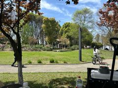 -西山漾湿地公园