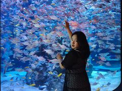 -成都浩海立方海洋公园