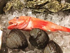 -舞鹤日本料理铁板烧(华侨城店)