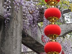 -南京古林公园