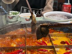 -五里关火锅(牛市口店)