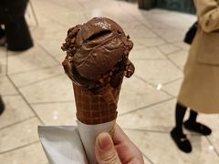 黑巧克力冰淇淋-LUNEURS月乐诗 冰淇淋咖啡(环贸店)