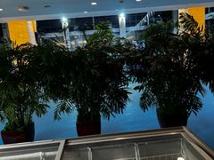 -和园景逸大酒店朗月汤泉