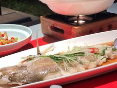 -春色如许·茶食餐厅(桃李春风店)