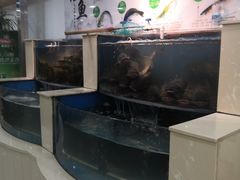 水产区-屯老二农家铁锅炖·行业领军者(梅江店)