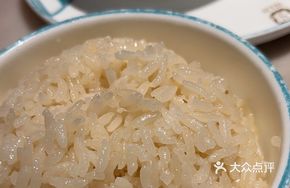 Dancing Hainan Chicken Rice