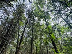 -鹫峰国家森林公园