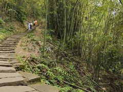 -缙云山景区