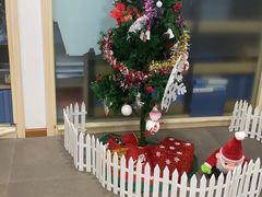 -i2青少儿英语(爱加星悦荟店)