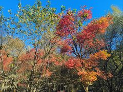 -吉林市朱雀山国家森林公园