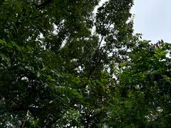 -敬亭山风景名胜区