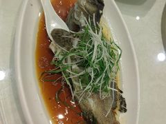 -大东海海鲜酒楼(渔人码头总店)