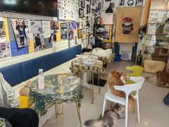 -平行世界·猫咖(首经贸店)