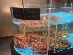 -徐记海鲜(南油永新汇店)