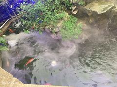 -顺德了能馆(虎门店)