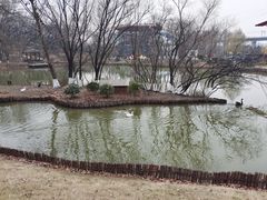 -金陵矩阵(聚宝山公园店)