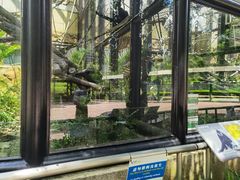 -石排湾郊野公园