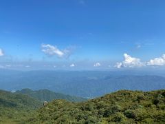 -大围山国家森林公园