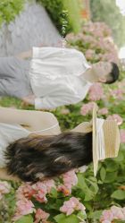 点击看大图 -巴黎婚纱摄影工作室