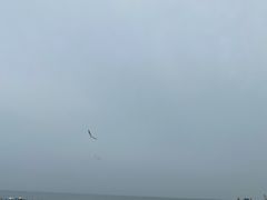 -南戴河旅游度假区