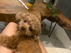 我叫糖果-滇咖啡体验店