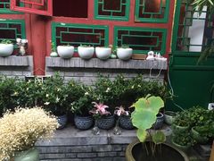 -顺承小院儿