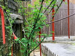 -牛角寨瀑布景区